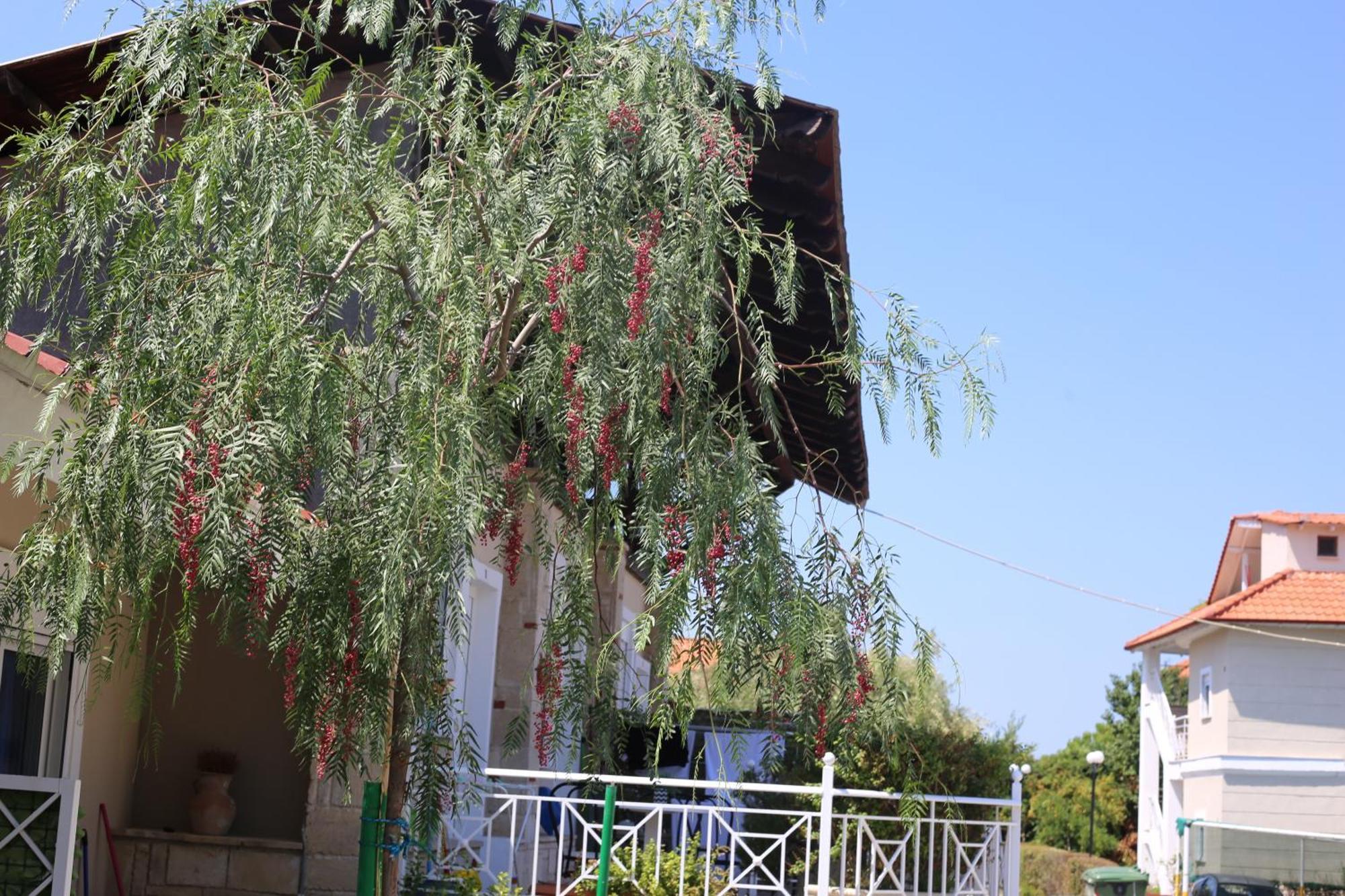 Golden Residence Family Resort Pefkochori Exterior photo
